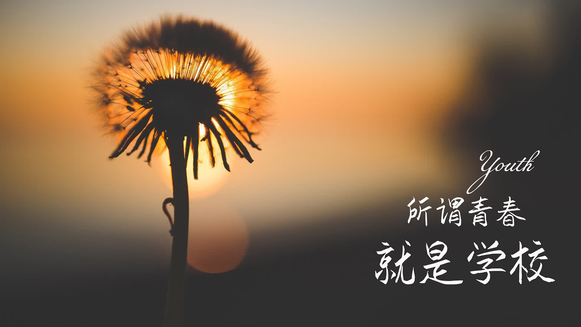 世界举重裁判线上复审平台试运行问题与答疑，世界举重比赛